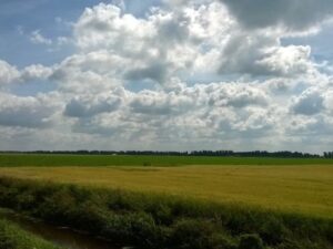 Buitenavonturen Drenthe