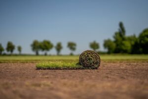 Graszoden bemesten